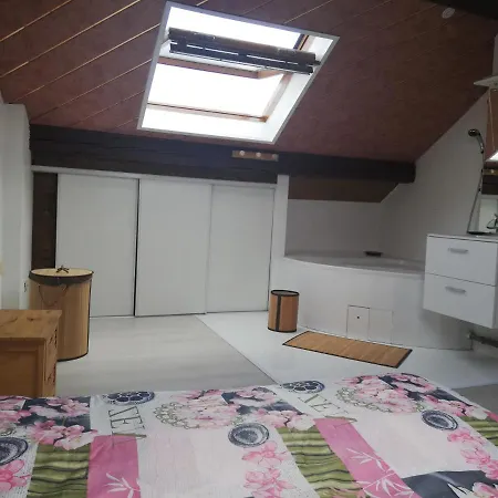 Casamia Apartment Mulhouse